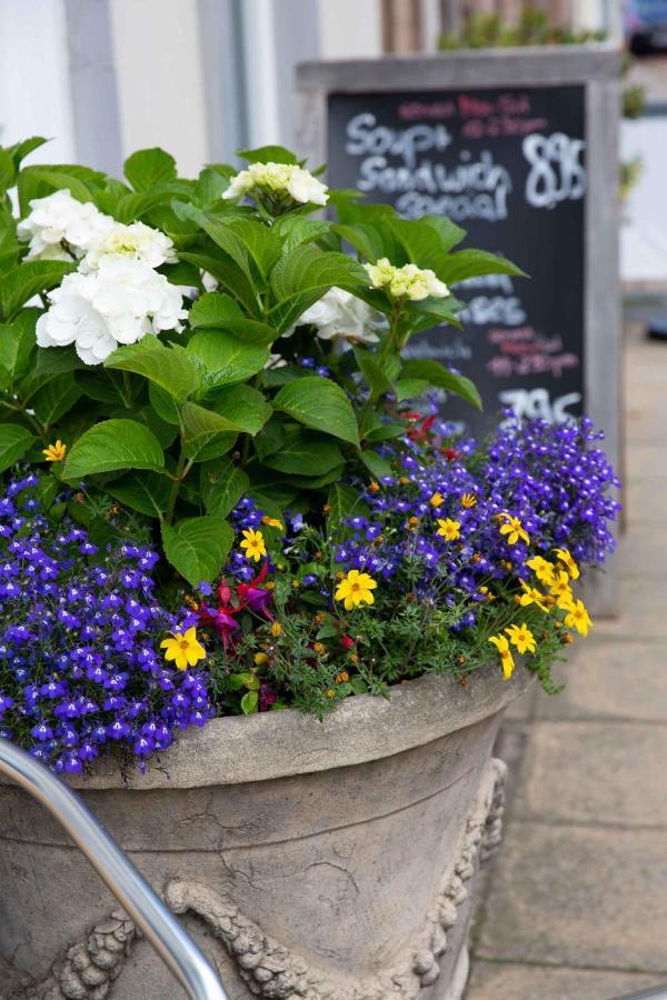Queens Head Hotel Berwick Upon Tweed Extérieur photo